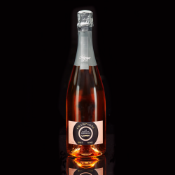 Brut Rosé Champagne