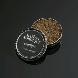 Shadi Caviar