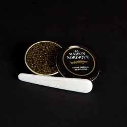 Cuillère de Caviar Impérial de Sologne - La Maison Nordique